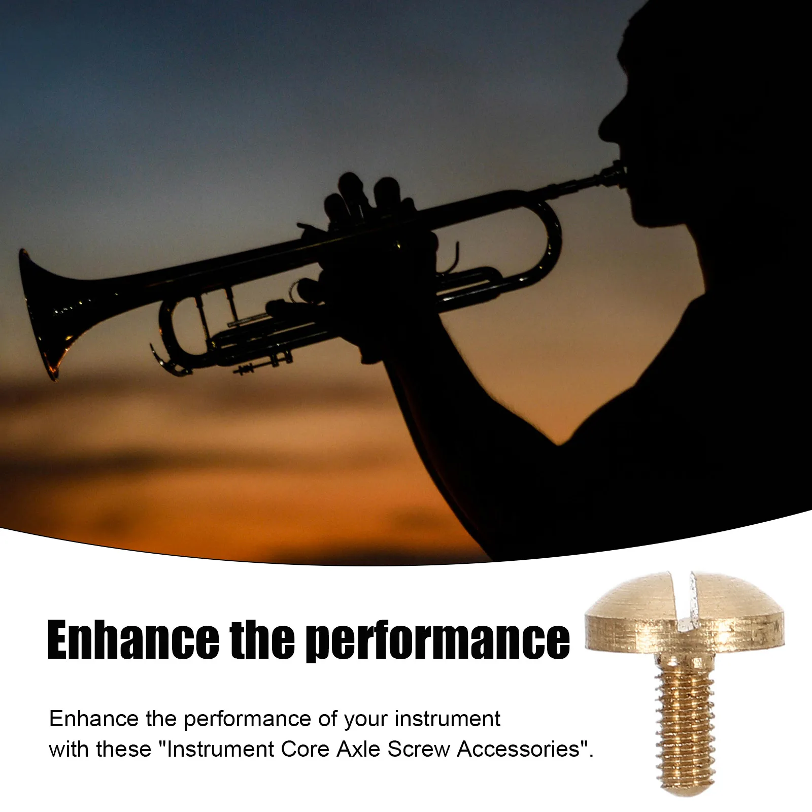 

10pcs Instrument Axle Screws Music Accessories for Flat Core Axle Screws Metal Parts