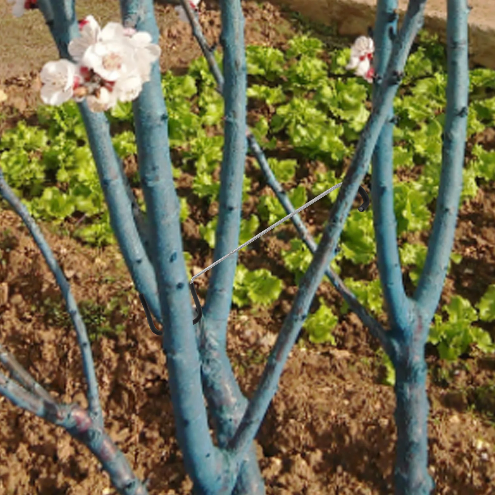 

20pcs Branch Spreaders Fruit Branches Trainers Plant Limb Bending Clips Gardening Tools Peach Pear Trees Outdoor