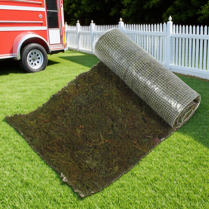 

Artificial Moss Mat Lifelike Fake Moss Pad For Micro Landscape Decor Bonsai Aquarium Yard Garden Mini Garden Accessory