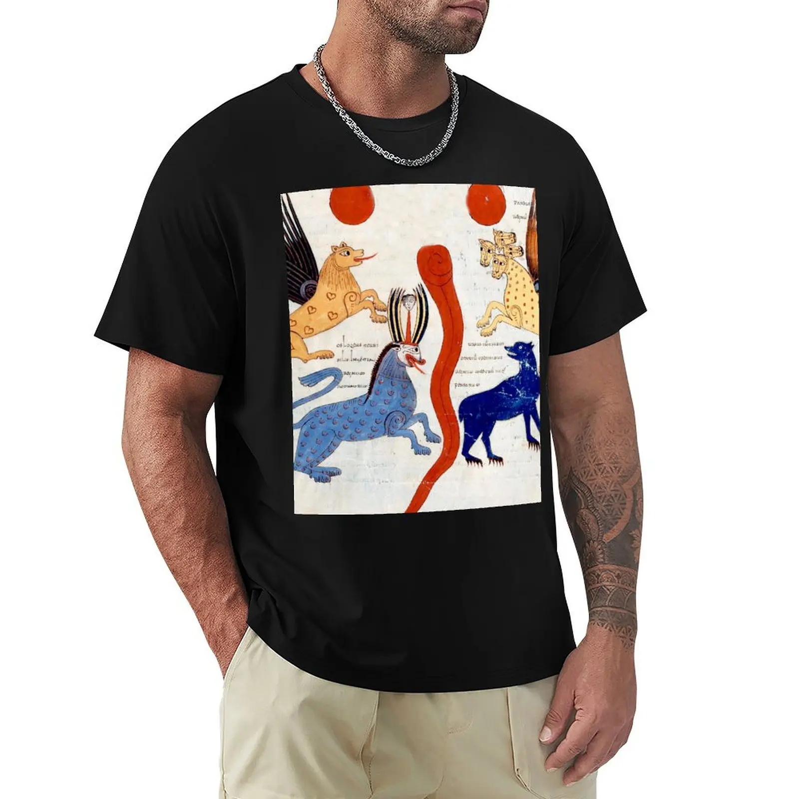 

Medieval monsters vintage artwork T-Shirt Aesthetic clothing basketball graphic tees mens tall t shirts