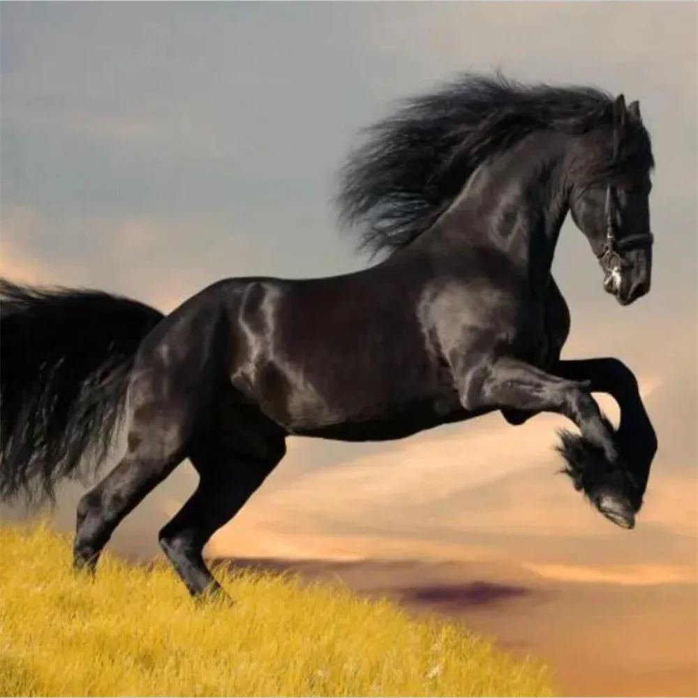 Custom Photo Mural Wallpaper 3D Black Horse Leaps Mural Blue Sky Wall Paper Living Room Sofa TV Background decoration Stickers image 3
