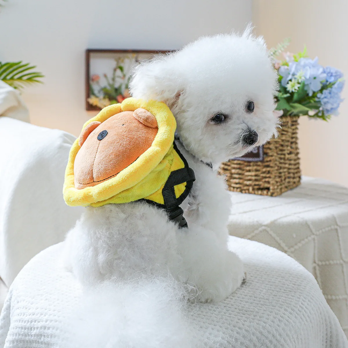 Pet Backpack Cute Backpack Can Be Pulled for Walking Dogs Garbage Bag Pet Accessories for Small Dogs Puppy Accessories