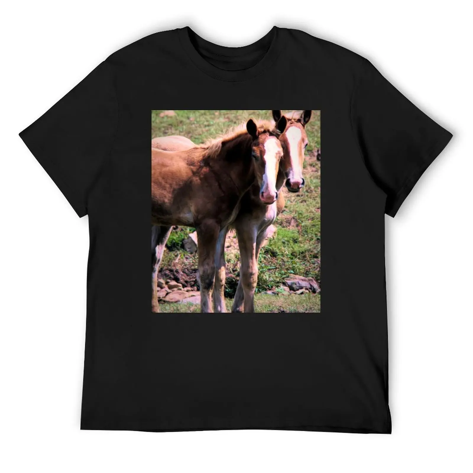 Belgian Draft Horse Foals in Lancaster County, Pennsylvania T-Shirt