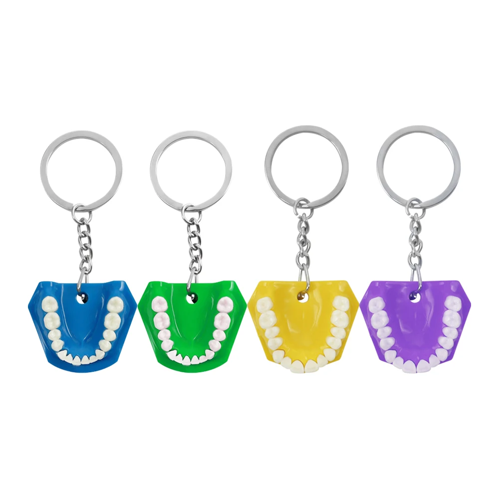 Dental Gifts Dentist Pendant Simulation Mini Denture Keychain Funny Resin Tooth Key Chain for Bag Hanging Ornament Car Key Rings