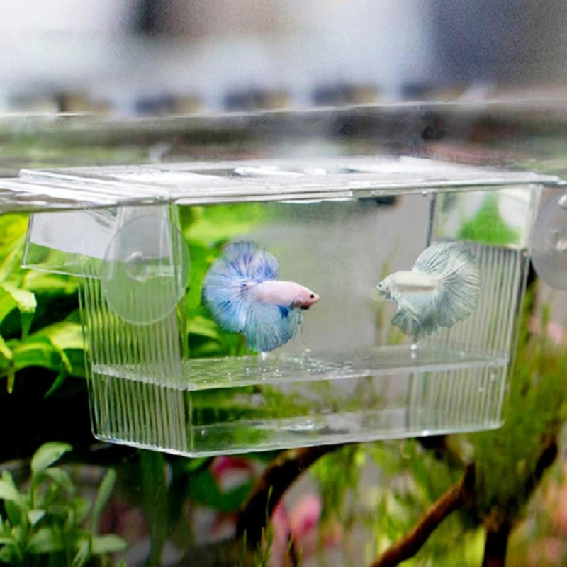 Multifunctional Double Sucker Fish Breed Self-floating Isolation Box Incubator Nursery Fry Hatchery Tank Aquarium Accessory