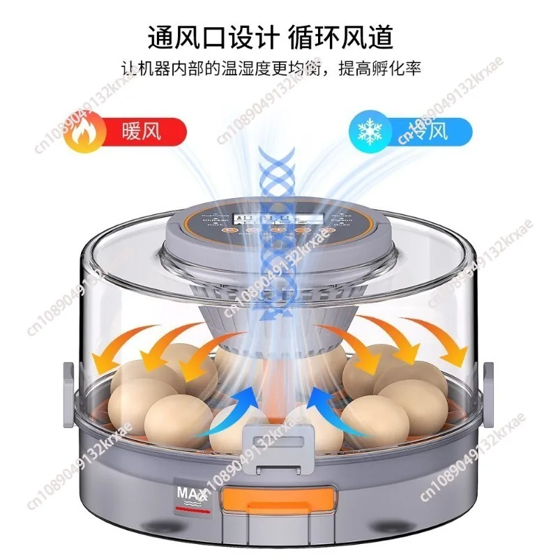Duck egg, quail egg, goose egg incubator, chick brooding