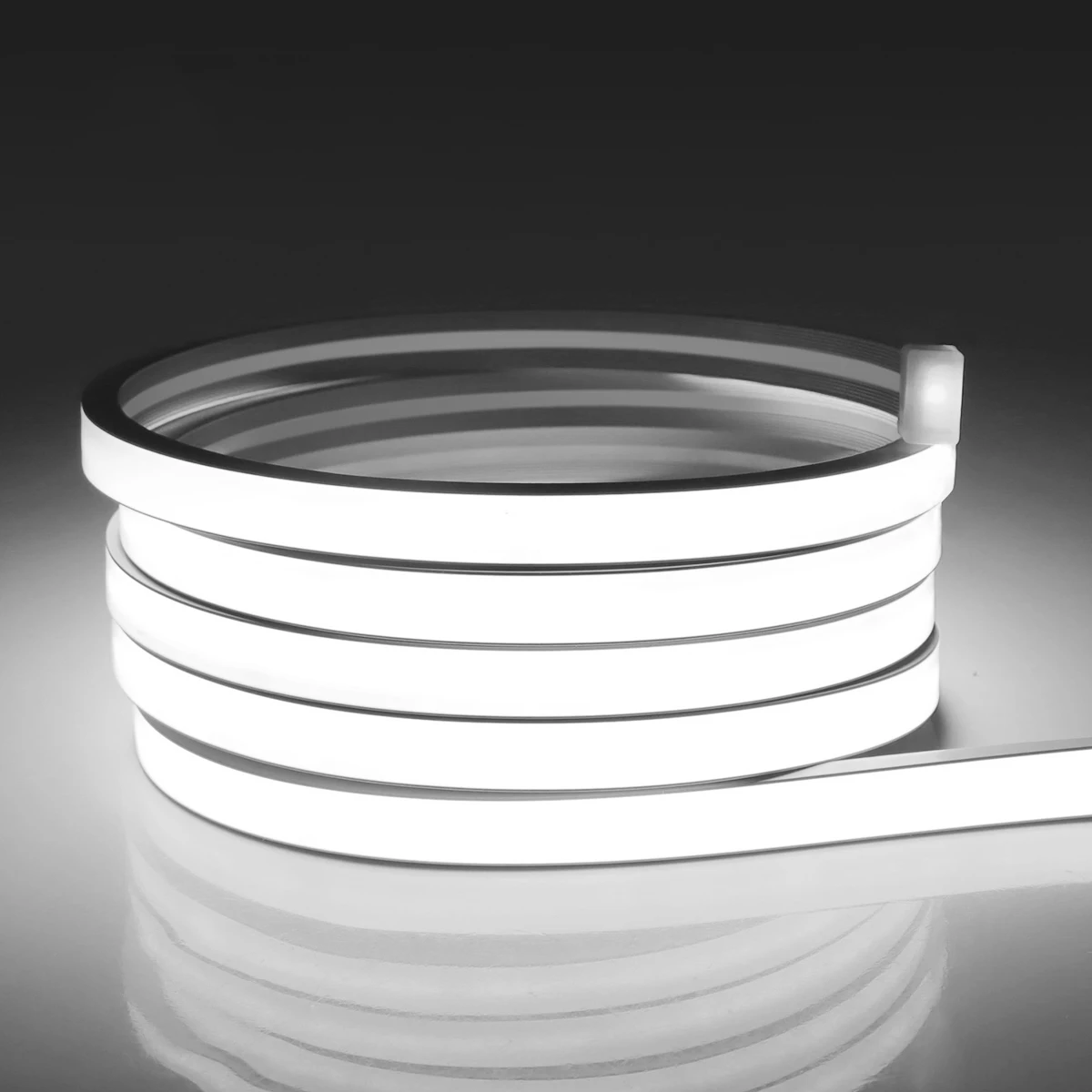 1 Rolle einzelne LED-Neonlichtstreifen 320 LEDs COB-LED-Streifenlicht 24 V COB-LED-Licht DC-Buchse wasserdicht flexibel – kein Netzstecker