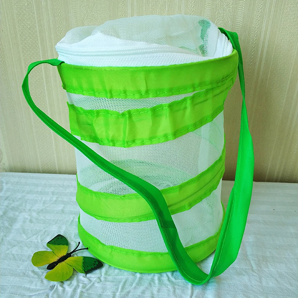 2 insetti e insetti con gabbia a farfalla per bambini che esplorano esplorano l'osservazione colorata per bambini piccoli