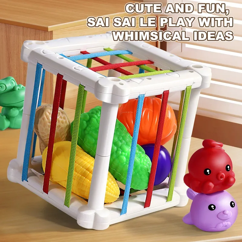 Montessori Baby Sensory Cube Shape Sorter Toy, Fine Motor Pull String Bin Grasp Training Rainbow Blocks Gift For 0-3 Years Baby