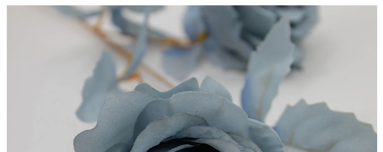 4 Stück Schwarze Rosen Künstliche Blumen Halloween-Dekoration Seidenblumen für Zuhause Hochzeit Party Event Blumenarrangement Kunstrosen – Detail 3