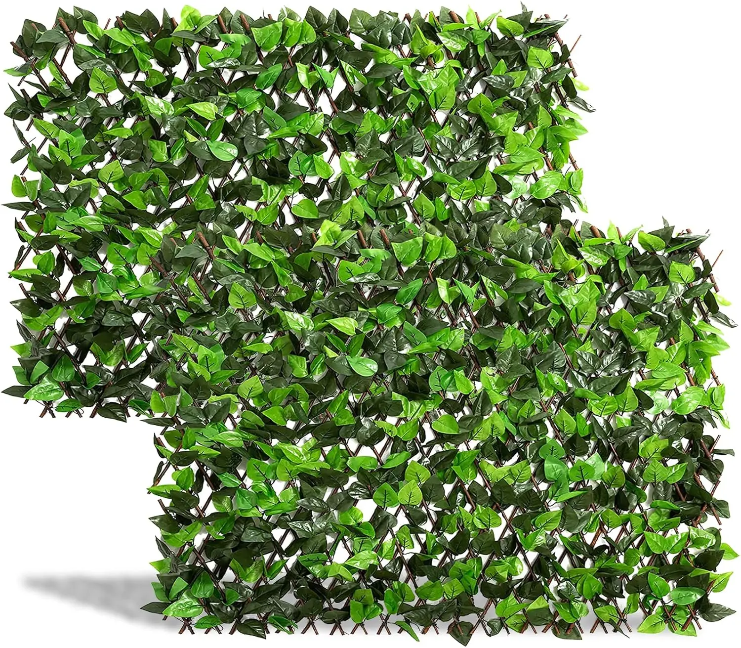 Expandable Ivy Priv…