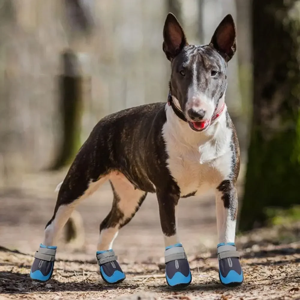 4pcs/set Adjustable Strap Pet Dog Shoes Anti-slip Comfortable Dog Walking Boots Waterproof Breathable Dog Shoes Outdoor