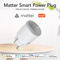 Matter 16A Wifi Smart Socket with Power Monitor Tuya Smart EU/France Plug Home Appliance Outlet Works with Homekit Alexa Google