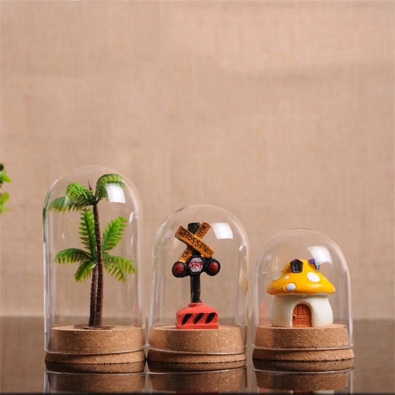 12 X (5 Size) Clear Glass Display Dome Cover Cloche Bell Jar Succulent Terrariums Wood Cork Office Table Decor DIY