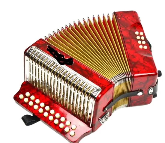 

21 Key 8 Bass Diatonic Button Accordion with Stainless Steel Cover New Type Exported to Europe and America