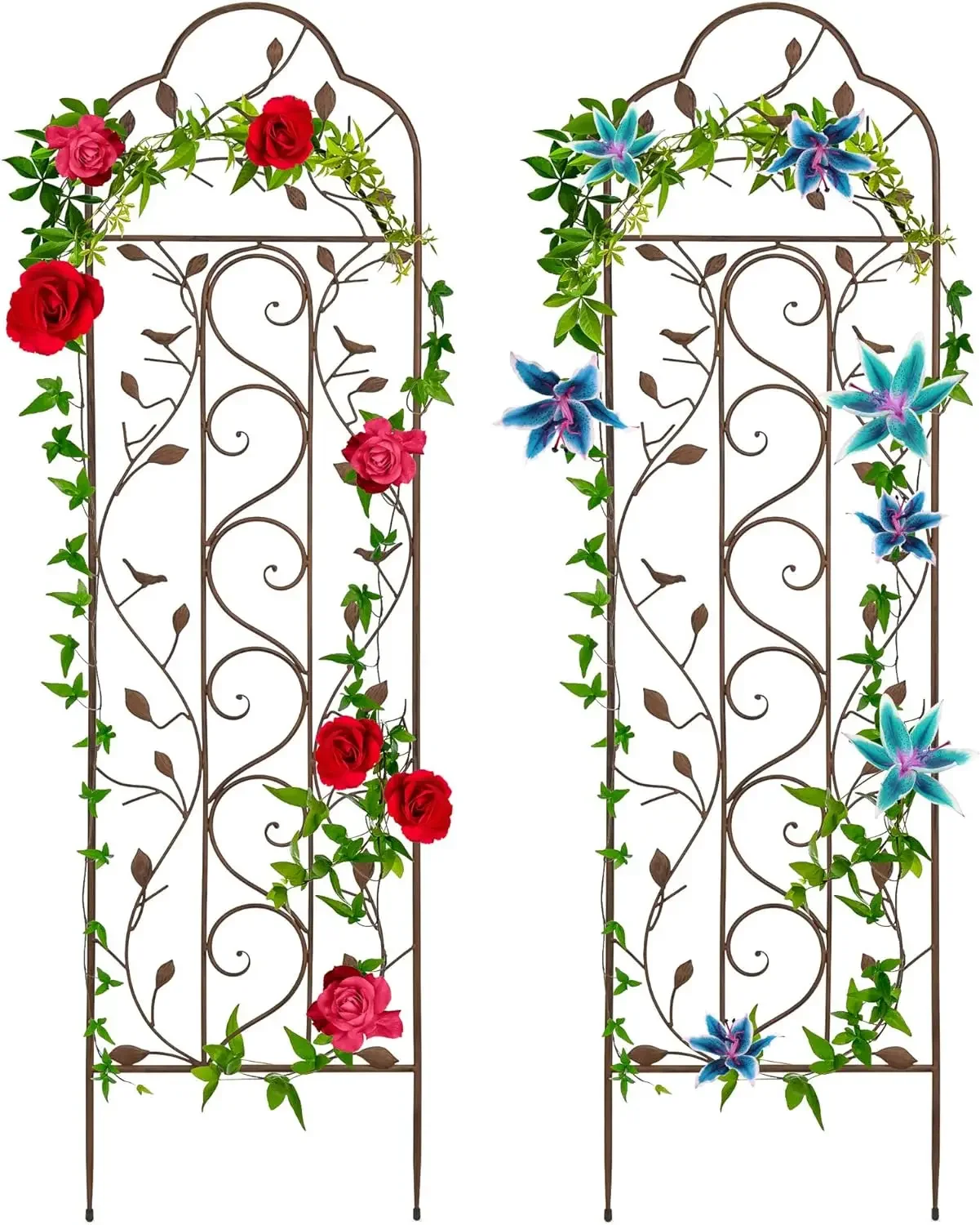 

Set of 2 60x15-inch Iron Arched Garden Trellis w/Branches, Birds for Lawn, Garden, Backyard, Climbing Plants