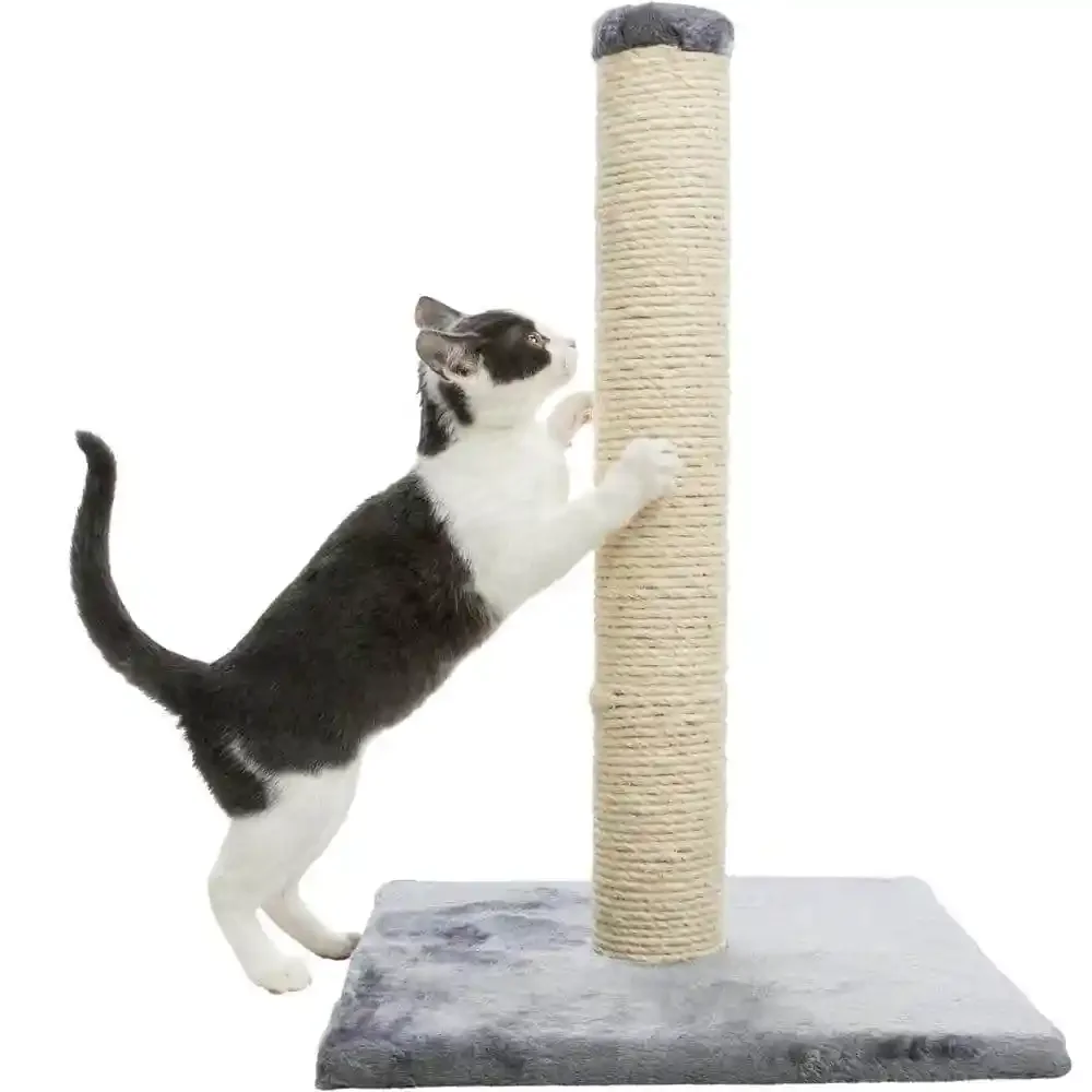 US Parla Scratching Post, Dark Gray