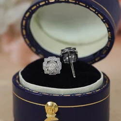 LESF 0.5 Ct Moissan Diamond 925 Silver Earrings Women Stud Earrings Cute Romantic Type Engagement Gift Fine Jewelry