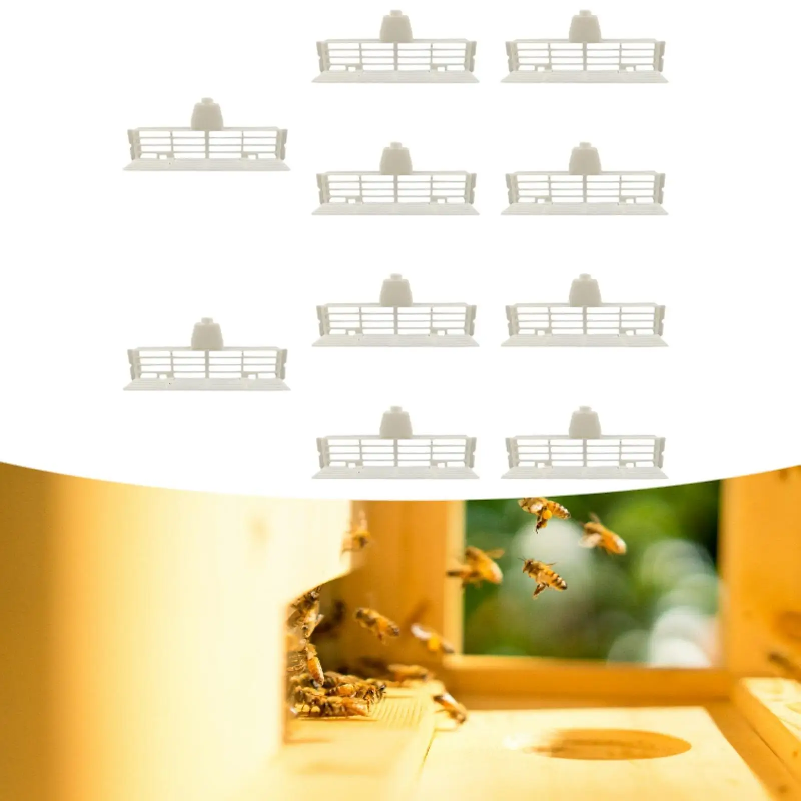 10Pcs Hive Entrance Closure Marking Cage Beehive Bee Entrance Feeder Lids