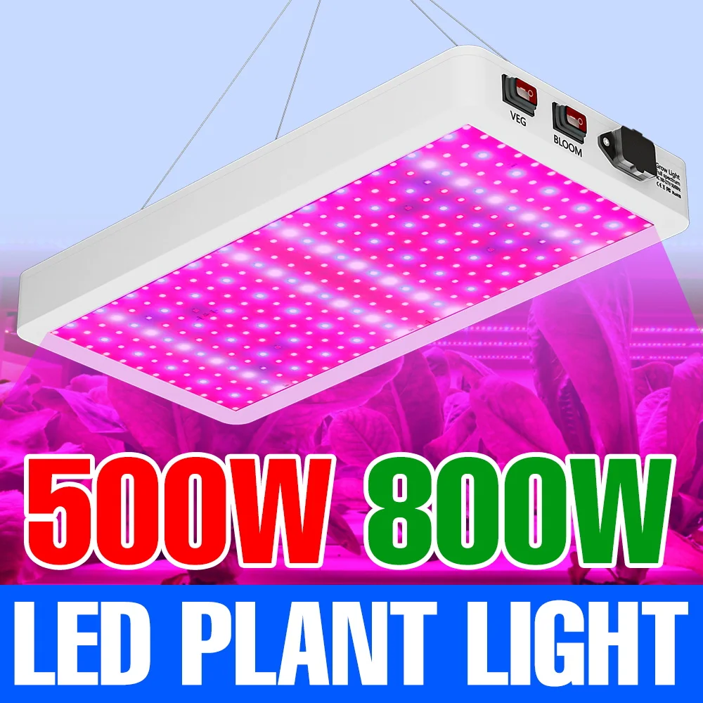 

800W LED Full Spectrum Grow Light Full Spectrum Hydroponics Plant Cultivation Lamp UV IR For Greenhouse Cactus Moss Succulent