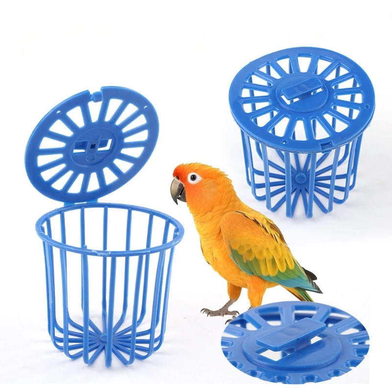 New Pet Parrot Feed…