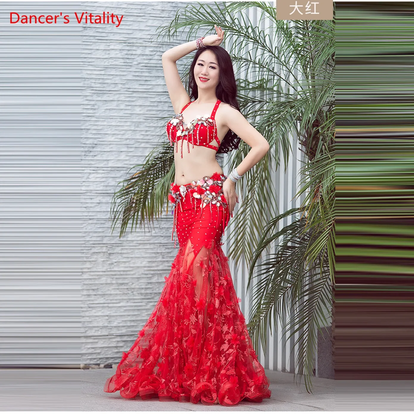 Roupa feminina oriental diamante, sutiã branco vermelho sexy e saia longa, performance de dança do ventre com duas peças, luxo