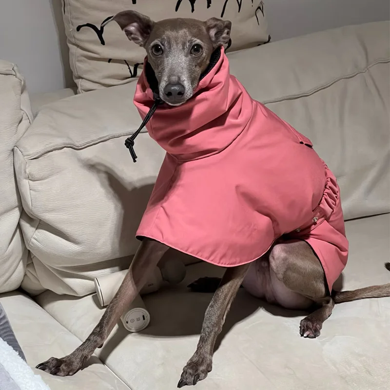 Chaqueta de invierno rosa a prueba de viento para galgo italiano, impermeable de cuello alto para Terrier, capa cálida, sudadera para Whippet