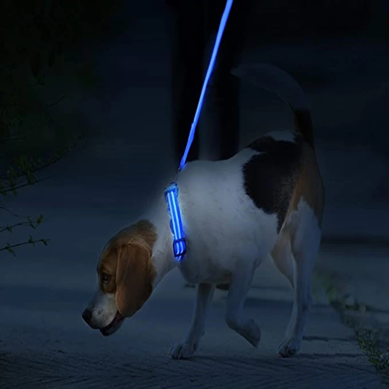 Usb Charging Led Dog Luminous Collars Adjustable Anti-Lost/Avoid Car Accident Night Light Safety Led Dogs Collar Pet Accessories