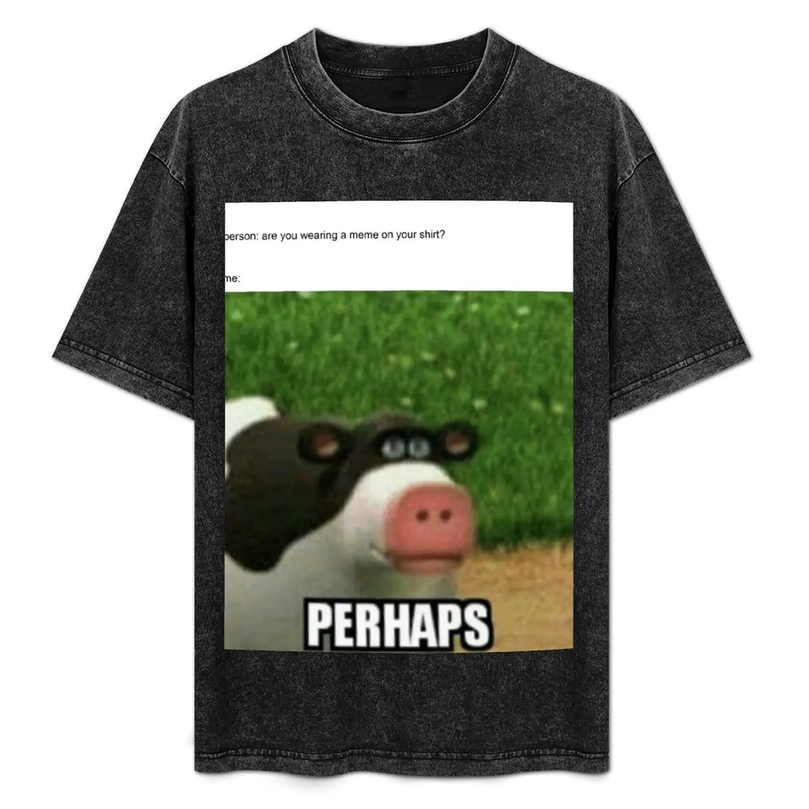 

Perhaps meme T-Shirt t shirts cotton 100% man t shirts cotton t shirt for man shirts for man pack white T-Shirt