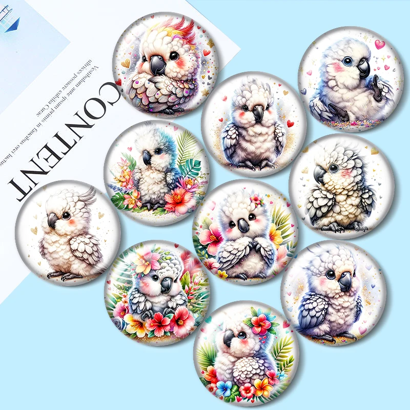 Fantasy Watercolour parrot 10pcs 12mm/18mm/20mm/25mm Round photo glass cabochon flat back Making findings for bracelets