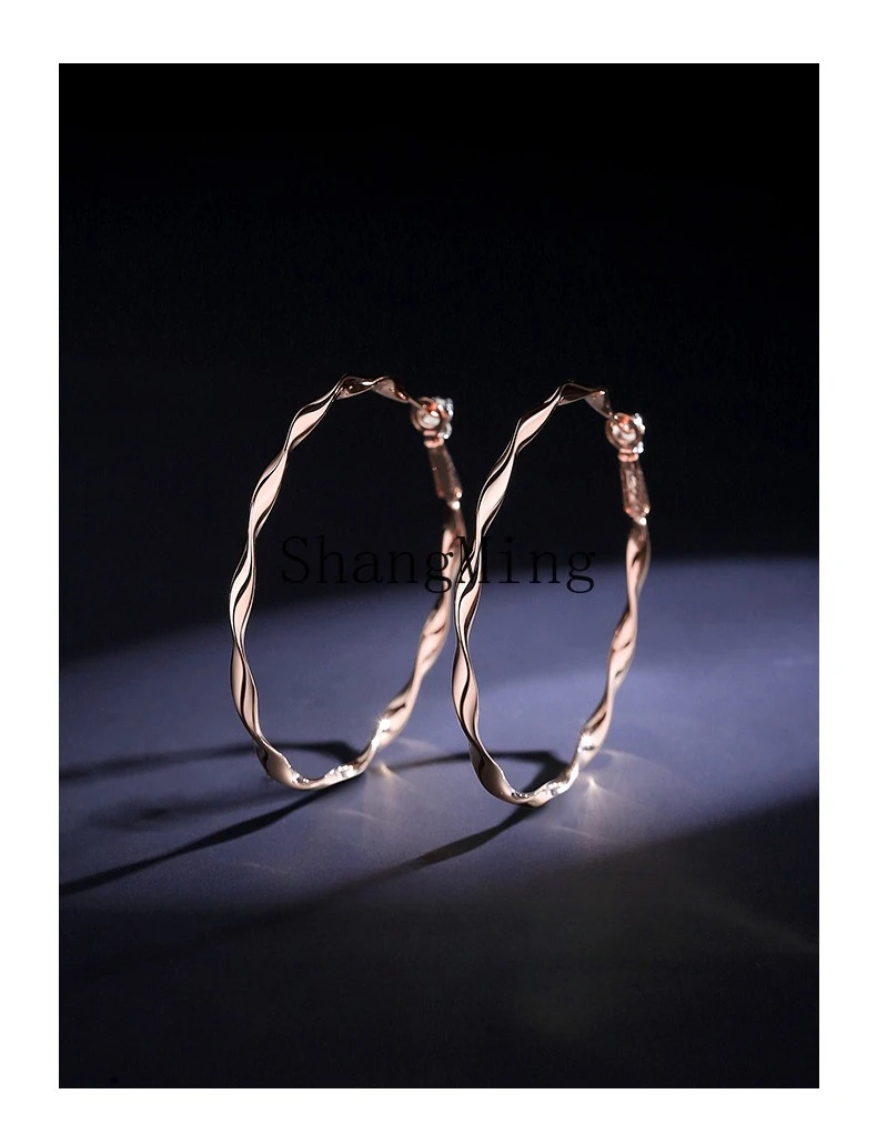 LXY sterling silver earrings women's new high-end sense exquisite temperament earrings unique large circle