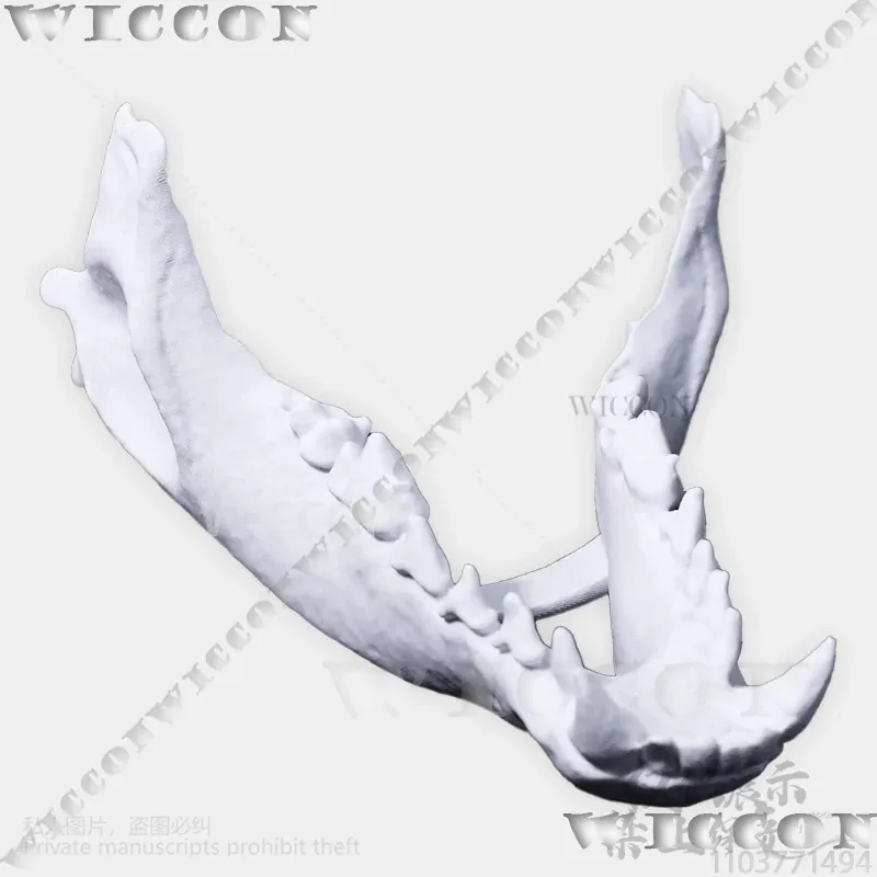 Animal Furry Cosplay Dog Skull Kigurumi Prop Polylactic Acid Mask 3D Print Head Fursuit Halloween Party Cos Men Customizeds;3,k;