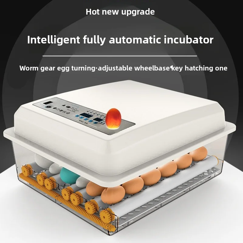 Mini Automatic Egg Incubator with Temp Control – Smart Hatcher for Chicken, Duck, Goose & Quail Eggs, Home Use