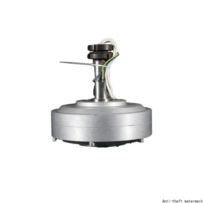 2025 Hot SellingFactory 100w 300RPM 12V 24v 48v Coreless Permanent Magnet PMG Alternator Maglev Disc Outer Rotator Generator