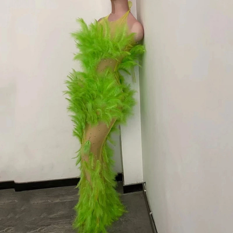 

Singer Party Show See Through costume Party Prom Celebration Long Dress Performance Wear Green Feather Dress