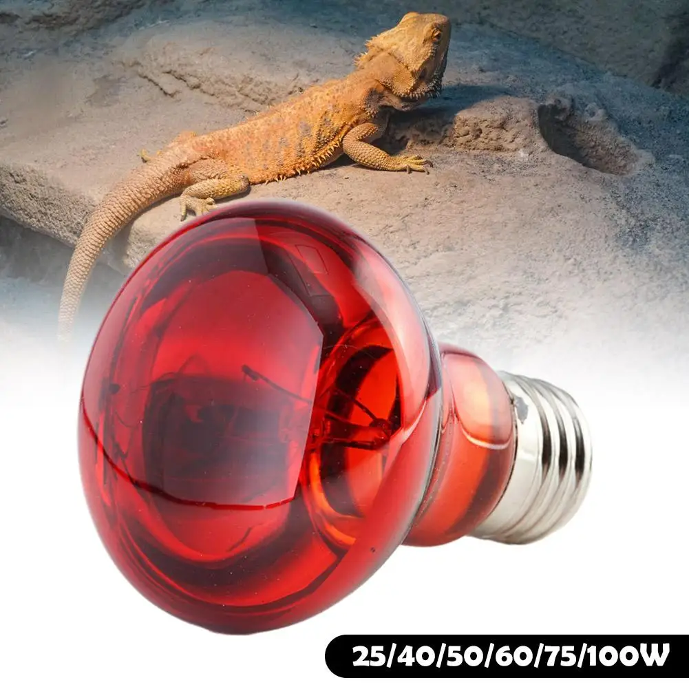 Lámpara de calefacción roja para mascotas, 25W, 50W, 75W, 100W, lámpara de calefacción infrarroja para serpiente anfibia, Bombilla de calor para reptiles, luz UV