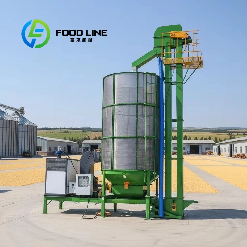 Medium Sized Grain Dryer Moderate Output Perfect For Township Grain Station Cooperative And Medium Scale Farm Use