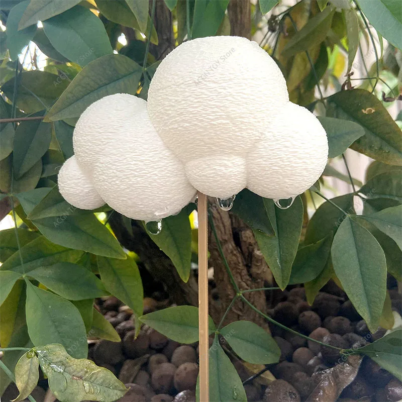 3D Printed Cloudlet Irrigation Tool for Potted Plant