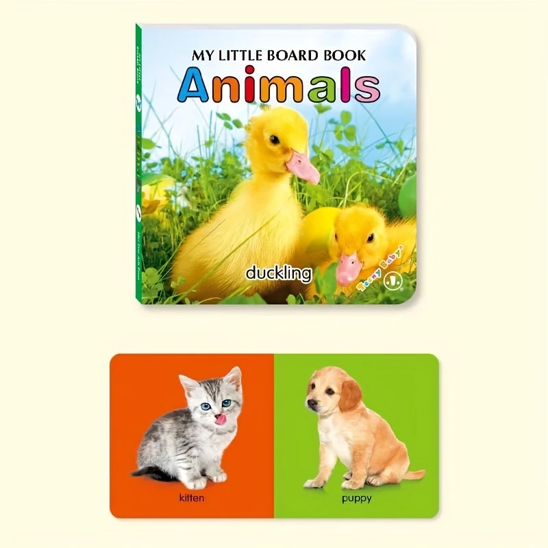 Colorful Baby Sensory Book Set 2