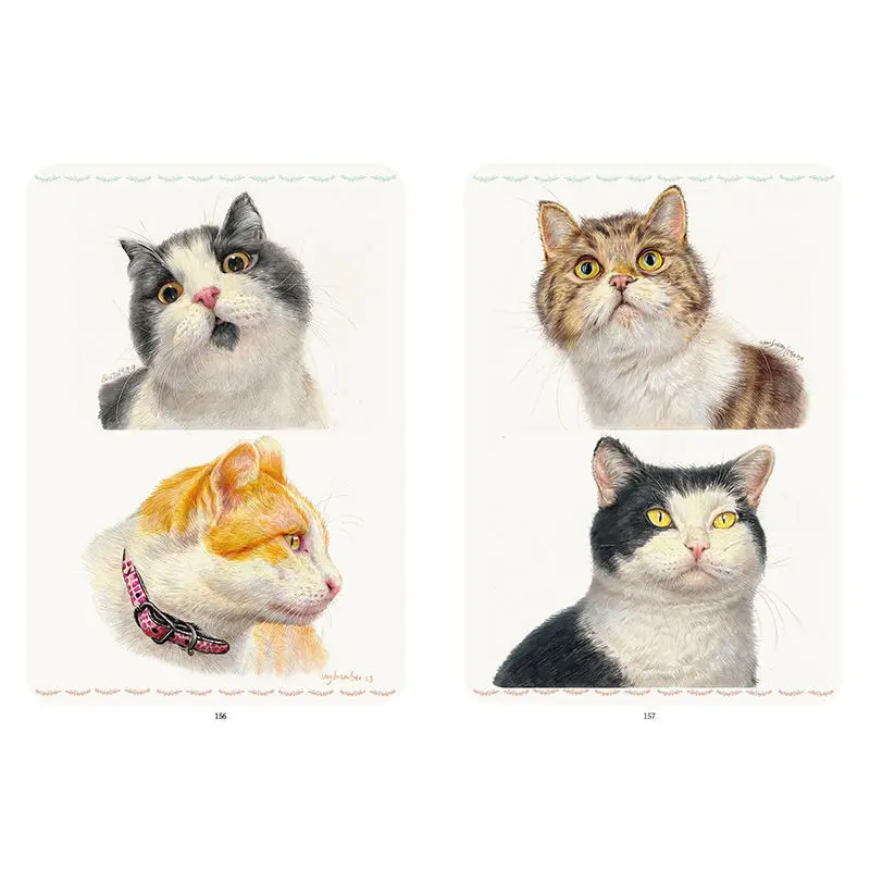 Colorido Chumbo Animais Quadrinhos, Basic Copy Picture Book, Iniciantes Textbook, Textbook Art, Iniciantes, Introdução, Chumbo Cor, 100 Casos