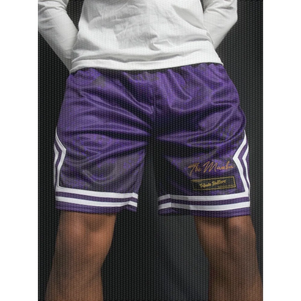 Salute To Basketball Legends, Special Edition Basketball Shorts, 3D Printed Sports Shorts, Quick Drying Basketball Jersey Shorts