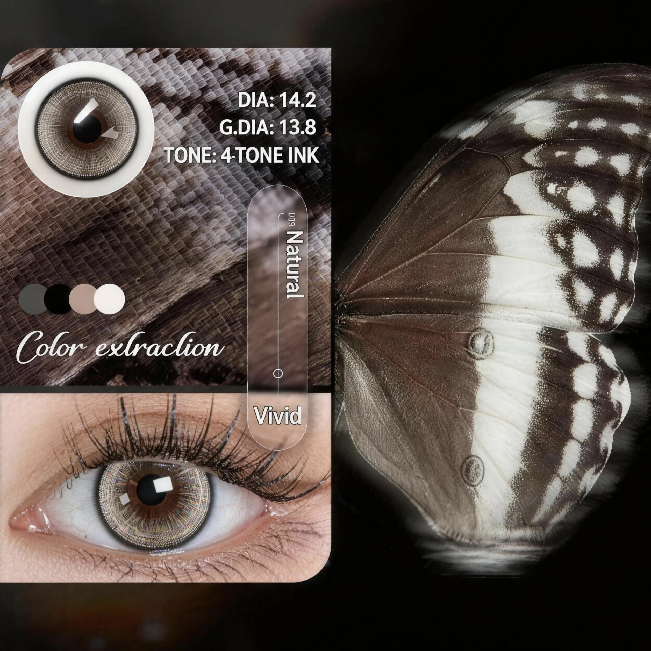 Visuashow Grey Series Farblinsen, 1 Paar, Durchmesser 14.2mm, Halbjährlich Tragbar, Weich und Bequem mit Natürlichem Grauen Look, Perfekt für Alltag und Make-up