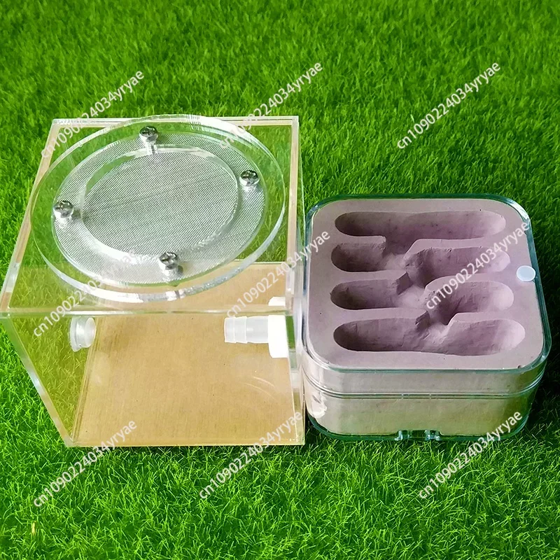 Upgraded ant nest Q-version of ecological nest, high-end combination nest, ant breeding workshop