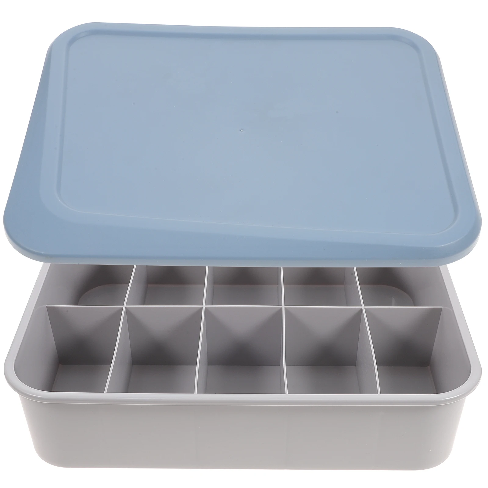 Caja de almacenamiento de ropa interior, organizador de plástico, calcetines, sujetador, calzoncillos, cubierta azul, 15 compartimentos, estructura sólida, ahorro de espacio