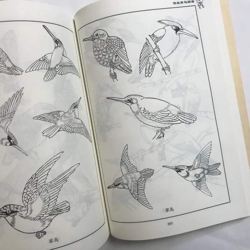 Książka o malowaniu ptaków: Poradnik artystyczny, tradycyjne ilustracje ptaków, zdjęcia referencyjne, rysunek liniowy feniksa, paw, orzeł, sroka.