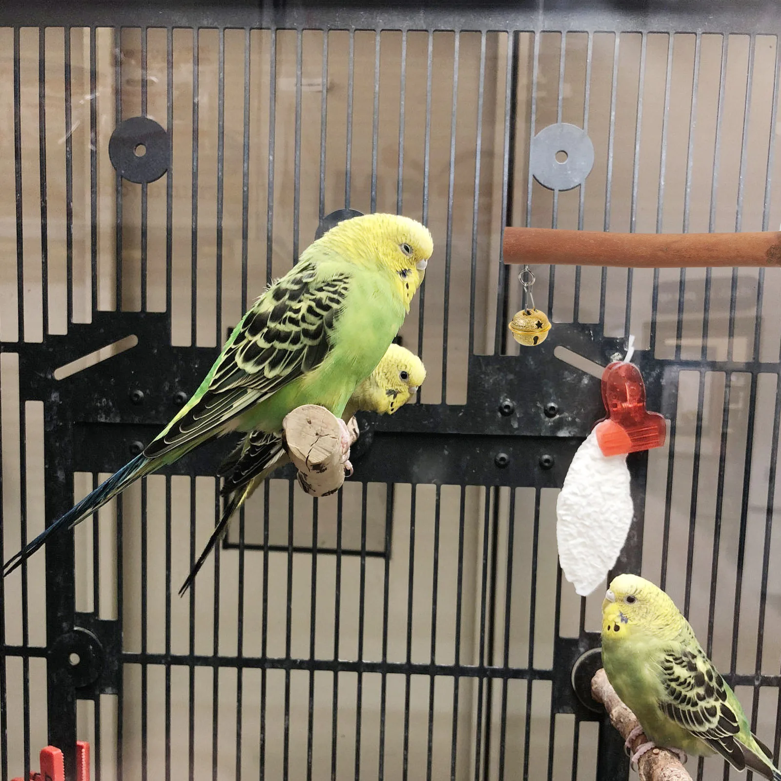 

Parrot St Perch Bird Cage Branch Wood Perches Adjustable Rope Platform Stable Structure Suitable Sizes Pet Supplies