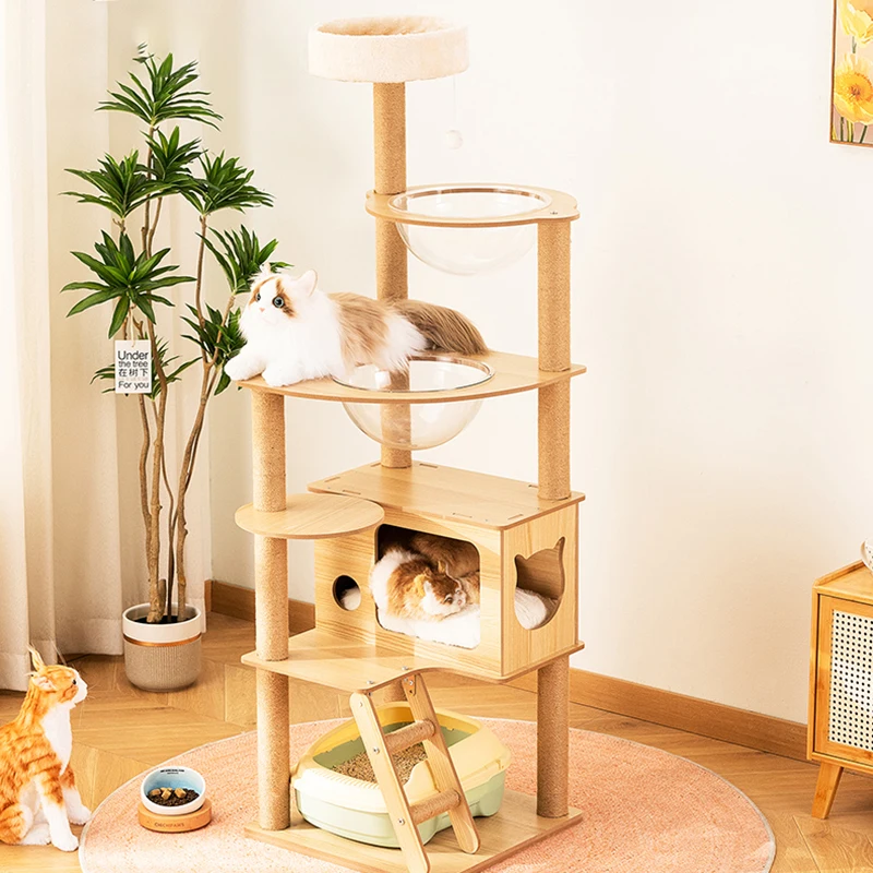 

Supplies Cat Tower Climbing Ladder House Set Scratchers Cat Tower Castle Wood Arbol Gatos Rascador Gatos Kitten Accessories