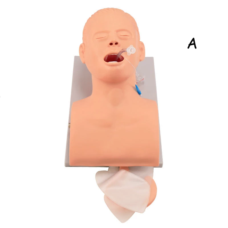 PVC Adult Intubation Manikin Teaching Model, Airway Management Trainer Tracheal Intubation Training Simulator Model, Science Lab