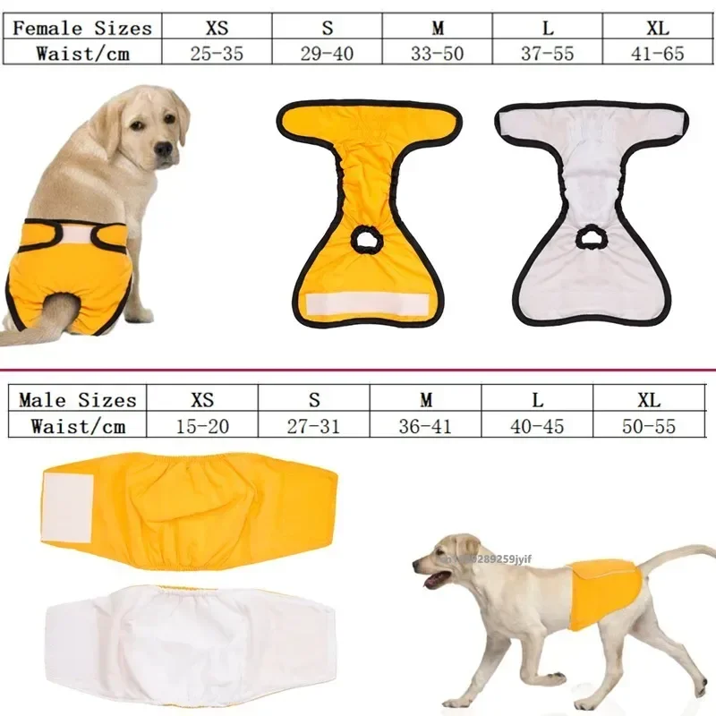 Reusable Sanitary Panties Washable Small Dog Pet Diapers Female Dogs Large Physiological Pants Shorts Male Cats Pet Menstruation