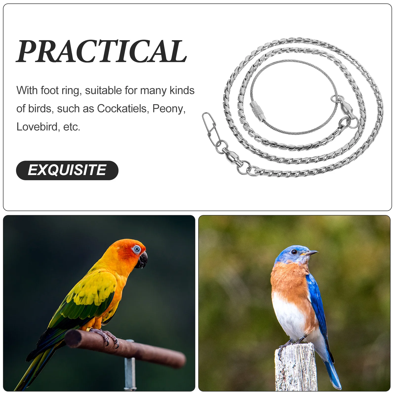 

Stainless Steel Birds Foot Chain Thick Durable Anti-Off Anklet Metal Ankle Ring for Cockatiels Lovebird Peony Parrot Anklet